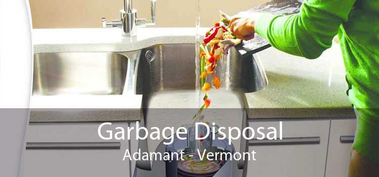 Garbage Disposal Adamant - Vermont