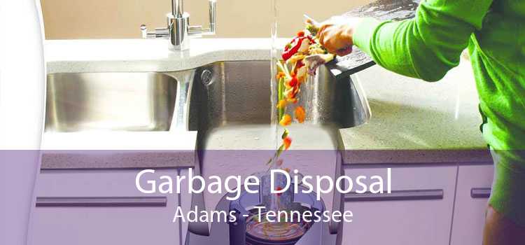 Garbage Disposal Adams - Tennessee