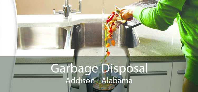 Garbage Disposal Addison - Alabama