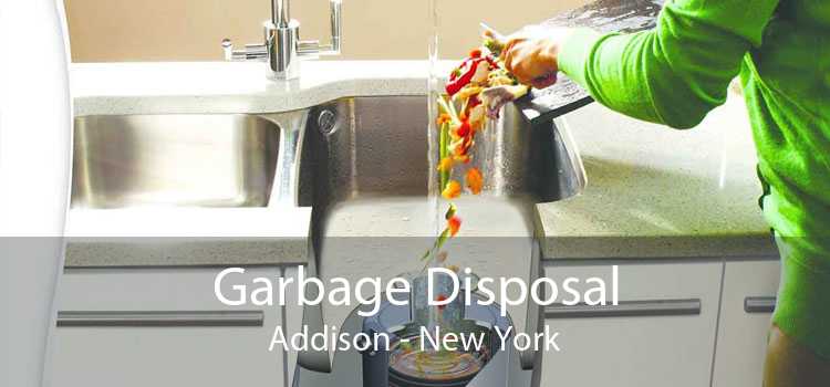 Garbage Disposal Addison - New York