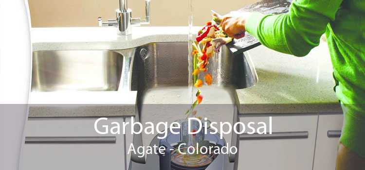 Garbage Disposal Agate - Colorado