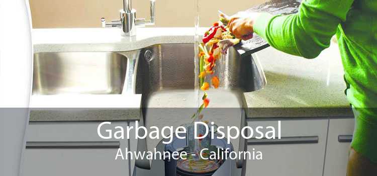 Garbage Disposal Ahwahnee - California