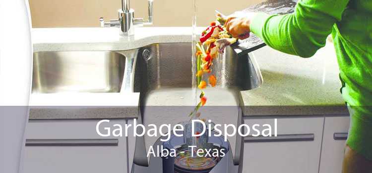 Garbage Disposal Alba - Texas