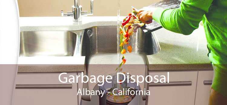 Garbage Disposal Albany - California