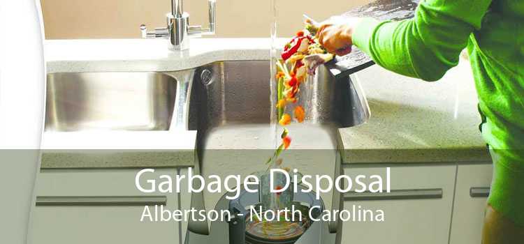 Garbage Disposal Albertson - North Carolina