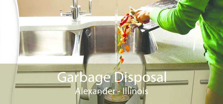 Garbage Disposal Alexander - Illinois
