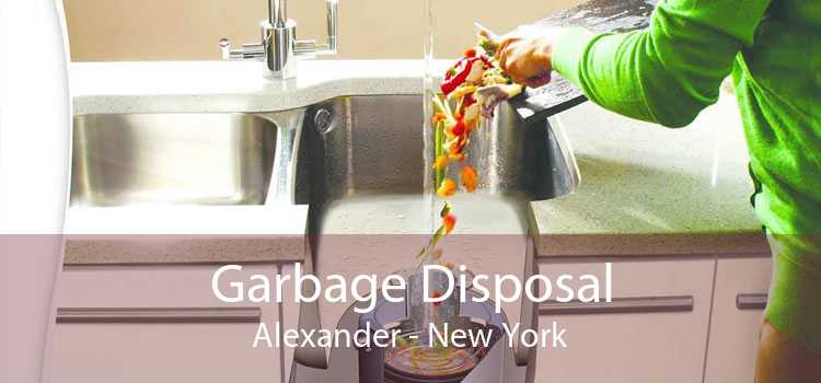 Garbage Disposal Alexander - New York