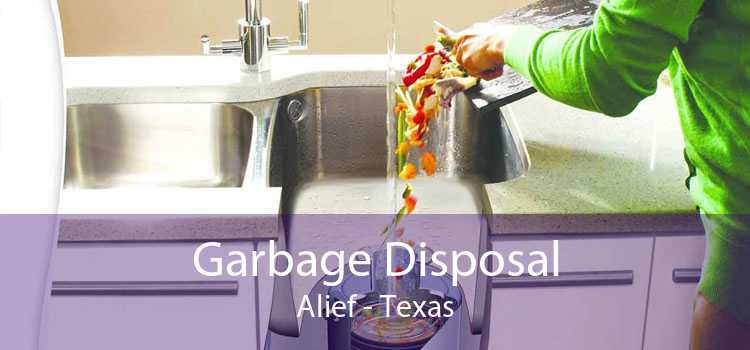 Garbage Disposal Alief - Texas