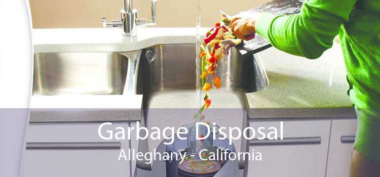 Garbage Disposal Alleghany - California