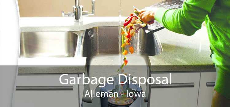 Garbage Disposal Alleman - Iowa