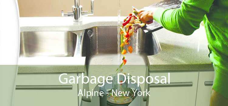 Garbage Disposal Alpine - New York