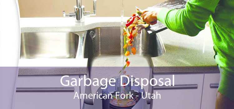 Garbage Disposal American Fork - Utah