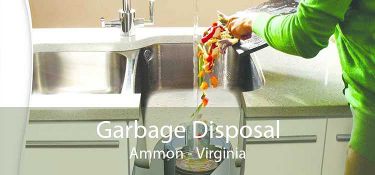 Garbage Disposal Ammon - Virginia