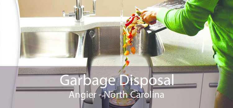 Garbage Disposal Angier - North Carolina