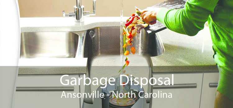 Garbage Disposal Ansonville - North Carolina