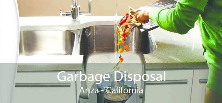 Garbage Disposal Anza - California