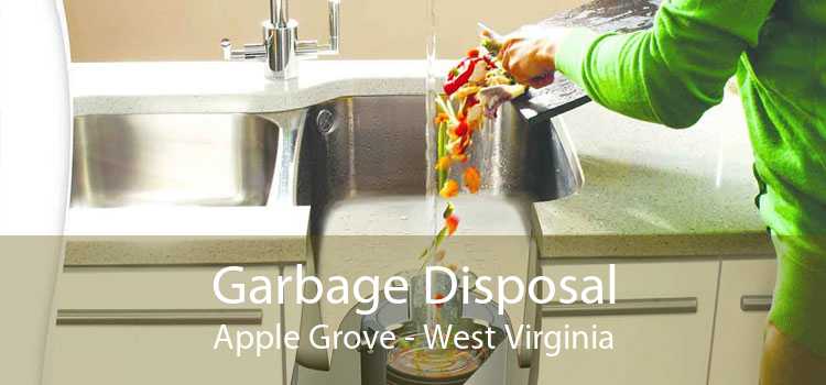 Garbage Disposal Apple Grove - West Virginia