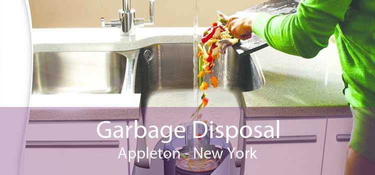 Garbage Disposal Appleton - New York