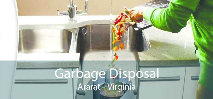 Garbage Disposal Ararat - Virginia