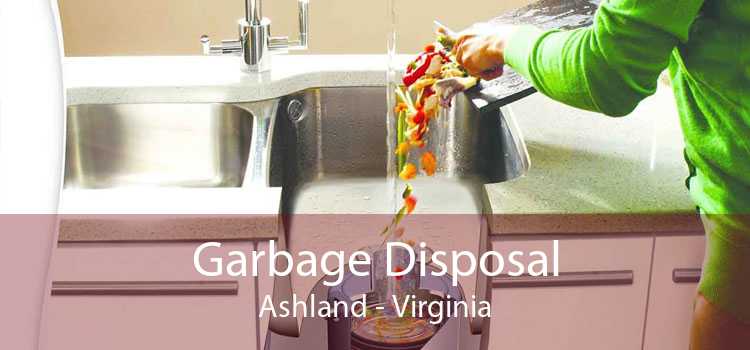 Garbage Disposal Ashland - Virginia
