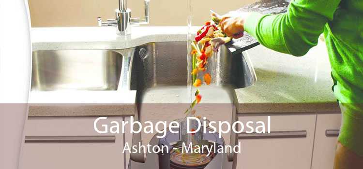 Garbage Disposal Ashton - Maryland