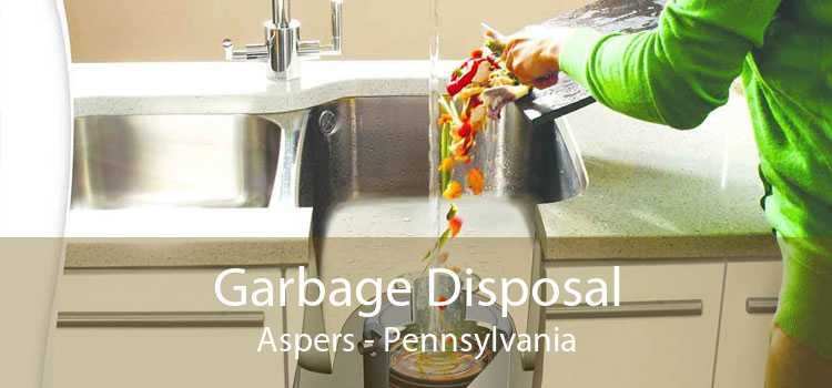 Garbage Disposal Aspers - Pennsylvania
