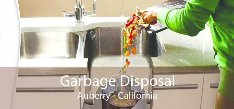 Garbage Disposal Auberry - California