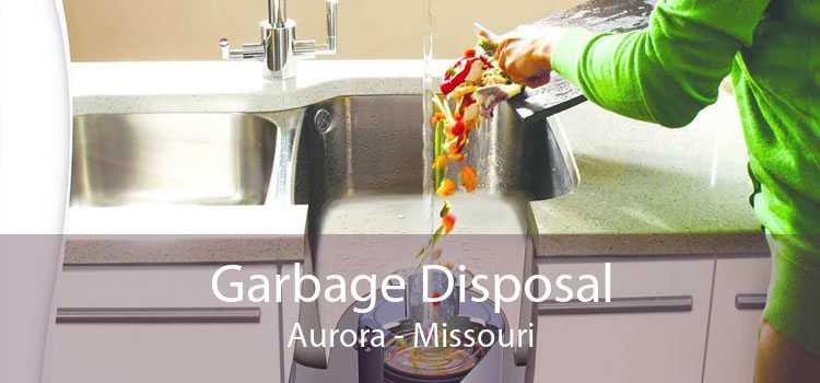 Garbage Disposal Aurora - Missouri