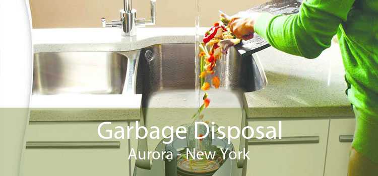 Garbage Disposal Aurora - New York