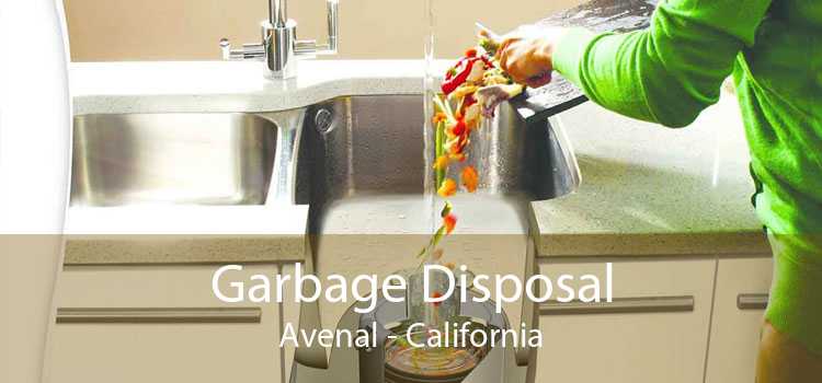 Garbage Disposal Avenal - California