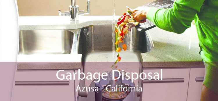 Garbage Disposal Azusa - California