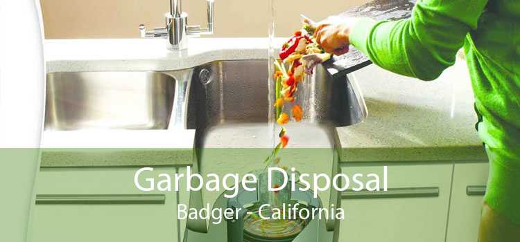 Garbage Disposal Badger - California