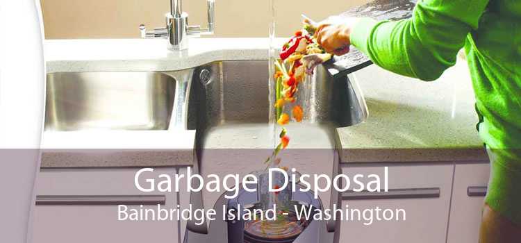 Garbage Disposal Bainbridge Island - Washington