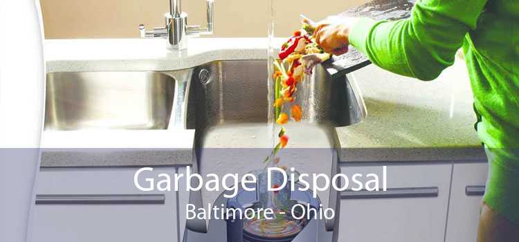 Garbage Disposal Baltimore - Ohio