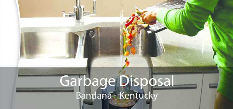 Garbage Disposal Bandana - Kentucky