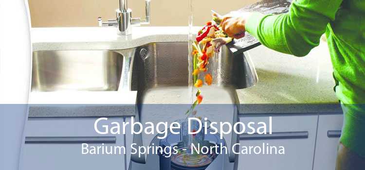 Garbage Disposal Barium Springs - North Carolina