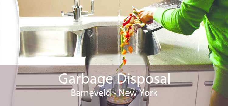 Garbage Disposal Barneveld - New York