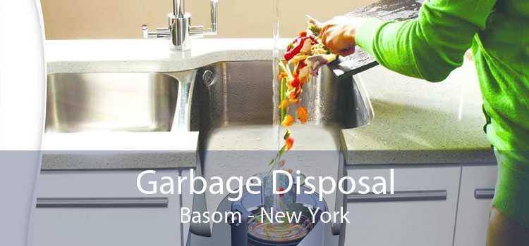 Garbage Disposal Basom - New York