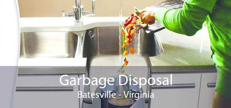 Garbage Disposal Batesville - Virginia