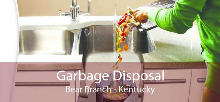 Garbage Disposal Bear Branch - Kentucky
