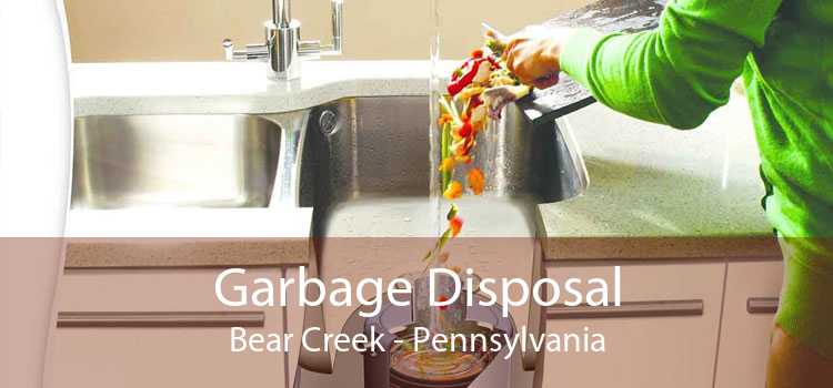 Garbage Disposal Bear Creek - Pennsylvania