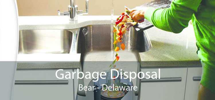 Garbage Disposal Bear - Delaware