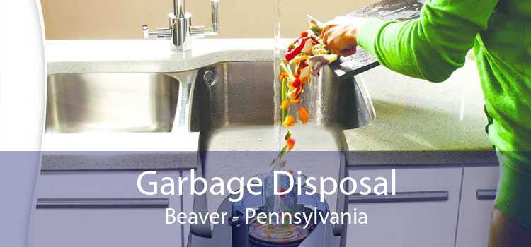 Garbage Disposal Beaver - Pennsylvania