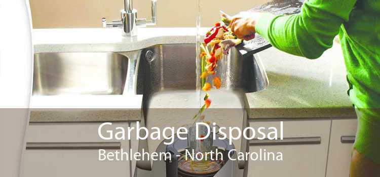 Garbage Disposal Bethlehem - North Carolina