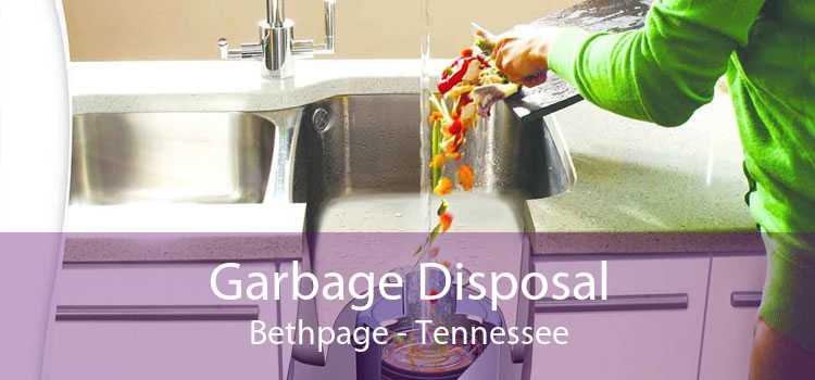 Garbage Disposal Bethpage - Tennessee