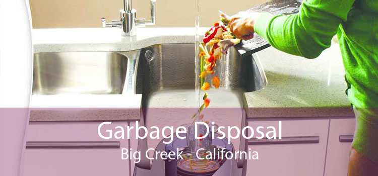 Garbage Disposal Big Creek - California