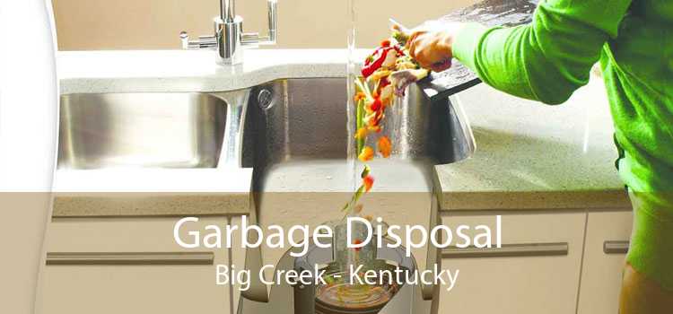 Garbage Disposal Big Creek - Kentucky