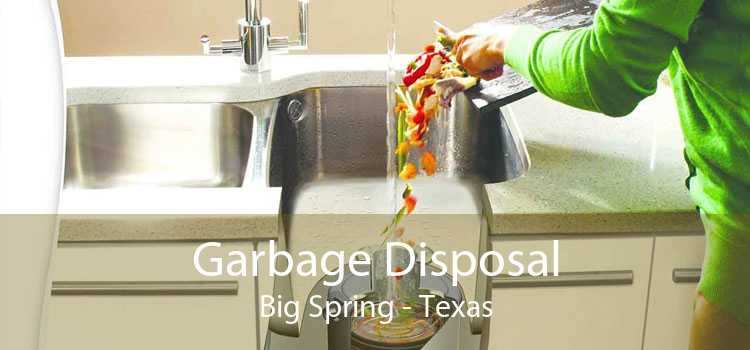 Garbage Disposal Big Spring - Texas