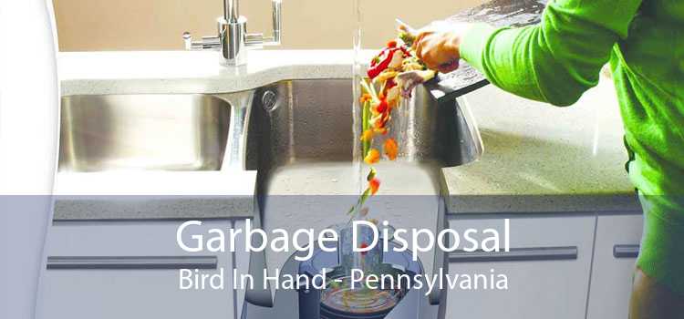 Garbage Disposal Bird In Hand - Pennsylvania