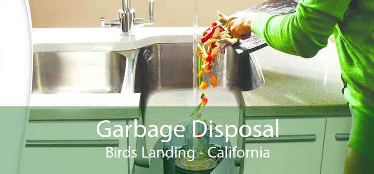 Garbage Disposal Birds Landing - California